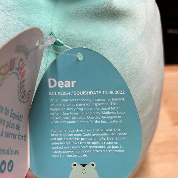 Squishmallows Poison Dart Frog Dear Mint Green Plush Stuffed Animal NWT 2022 11” - Picture 7 of 9